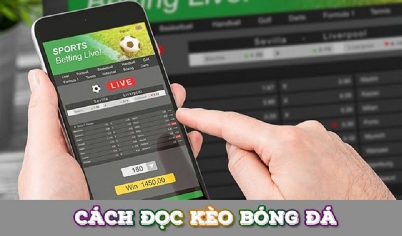 So sánh các loại kèo